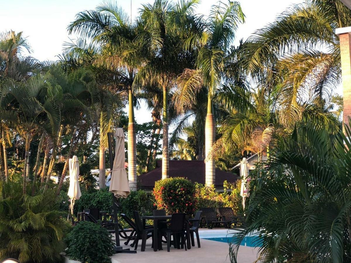 Hotel Casa Pierretta Las Terrenas Zewnętrze zdjęcie
